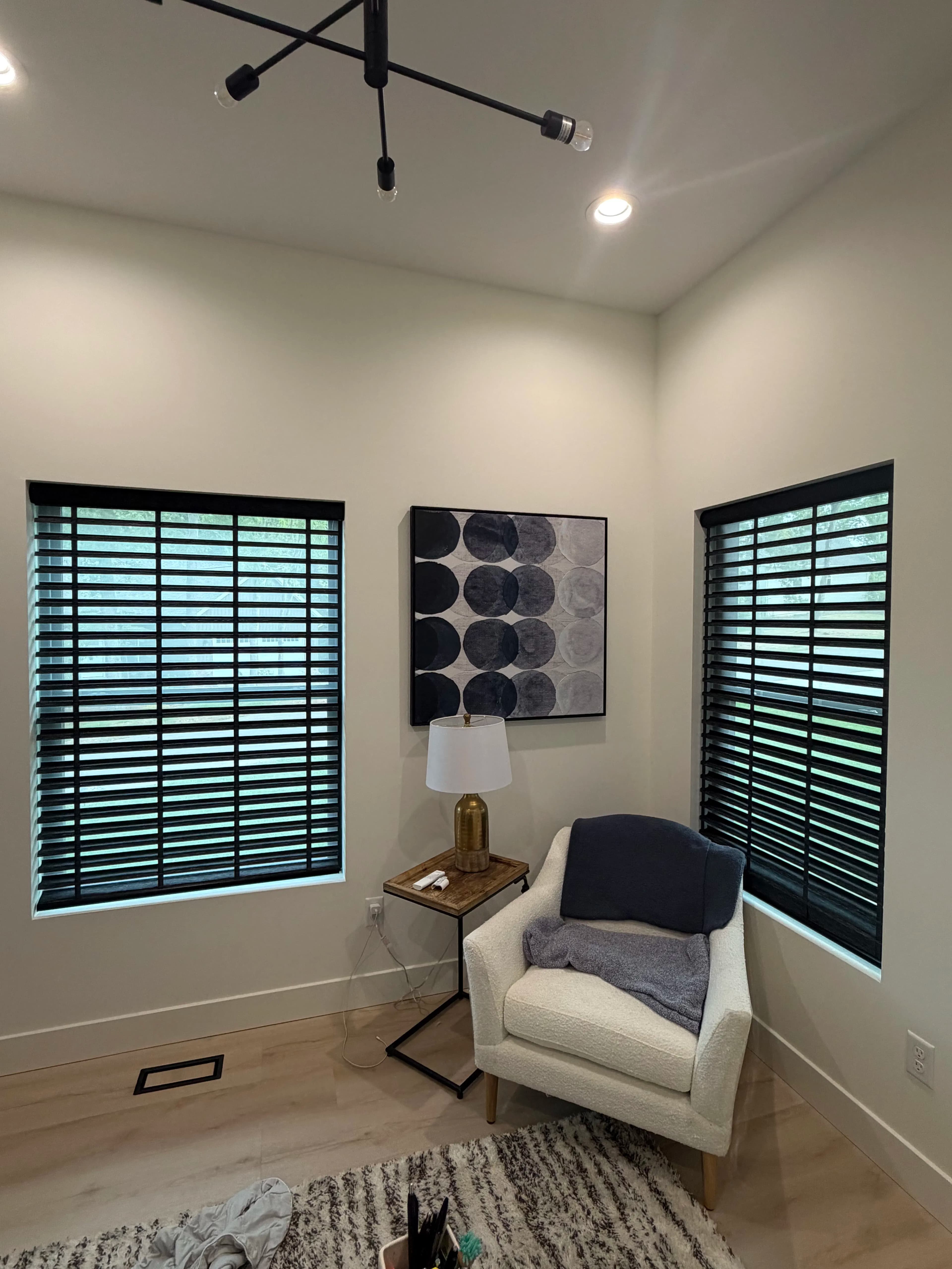 Project Intrigue Shades That Give You Light Control Without the Trade-Off image